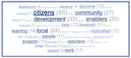 Motivation Wordle Citizen Enabler Analysis